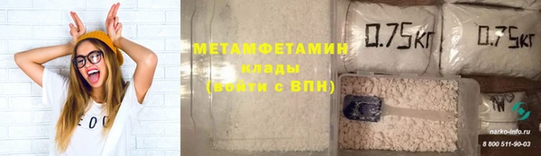 индика Волосово