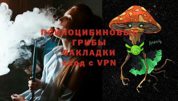 индика Волосово