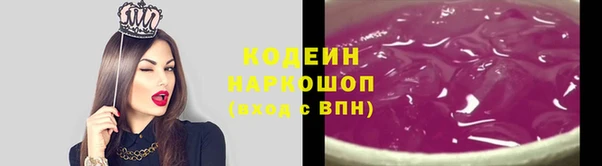 индика Волосово