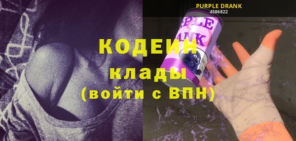 индика Волосово