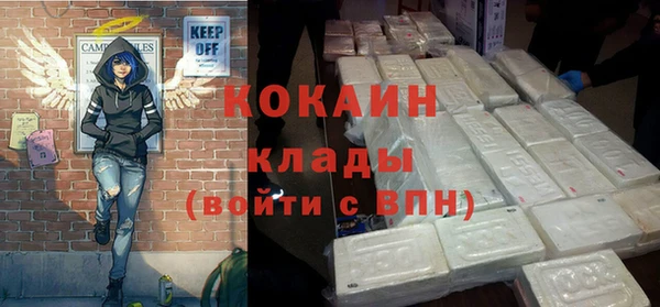 индика Волосово