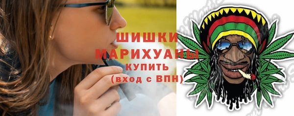 индика Волосово